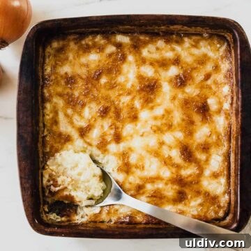 hot onion dip on a cracker