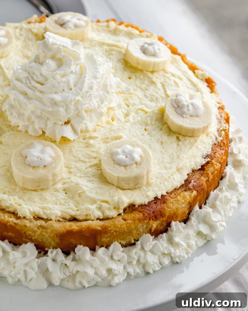 Banana Cream Pie Cheesecake Recipe: Creamy Layered Dessert Guide 3 img 8903 2