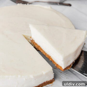 Classic Creamy Cheesecake Recipe for Perfect Results 6 A slice of cheesecake on a serving spoon.
