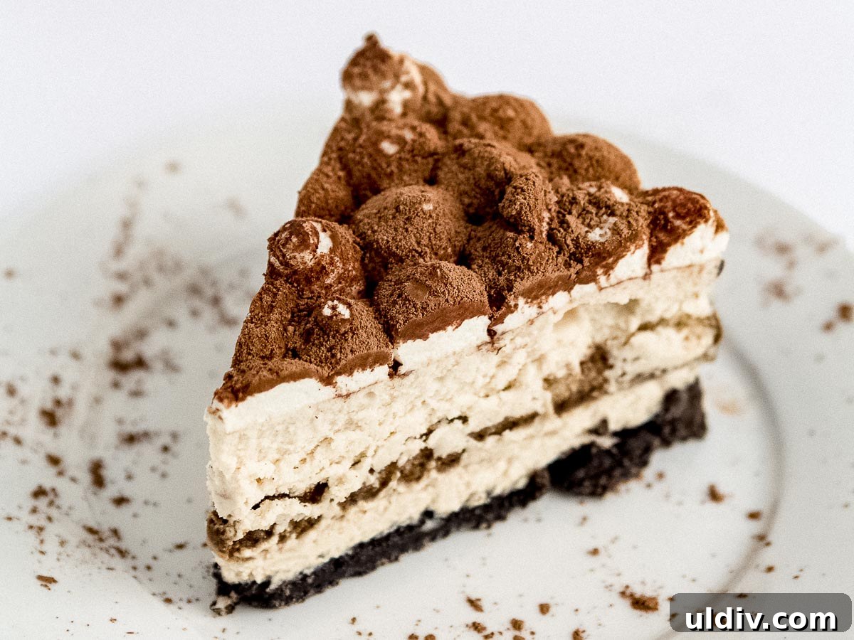 Slice of Tiramisu Cheesecake A slice of tiramisu cheesecake on a plate.