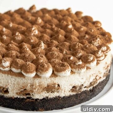 Tiramisu Cheesecake Recipe: Creamy Italian Coffee Cake 2 img 9426 3 1